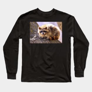 Bandit Long Sleeve T-Shirt